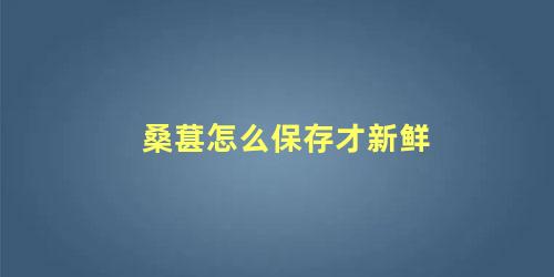 桑葚怎么保鲜过夜比较好?(桑葚怎么保存过夜)